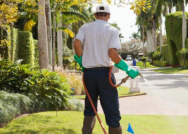 About Edelstein IL Pest Control